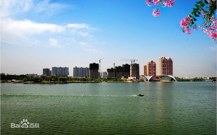 深圳物流公司