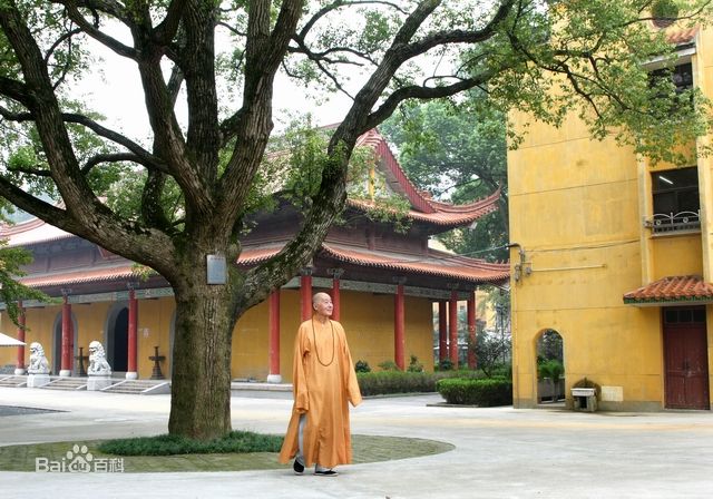深圳到镇江物流公司